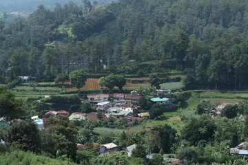 A picturesque village nestled at the base of Mount Gede Pangrango in Cianjur, West Java, Indonesia, surrounded by expansive rice fields.
