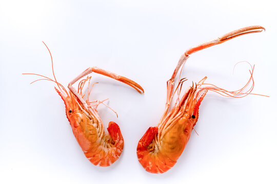 Seafood grill shimp isolated on white background.delicious Thai seafood.