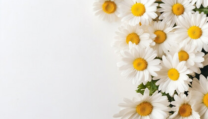 Fototapeta premium Spring frame of small flowers and daisy, floral arrangement, Daisy flowers isolated on white background. Daises with copy space