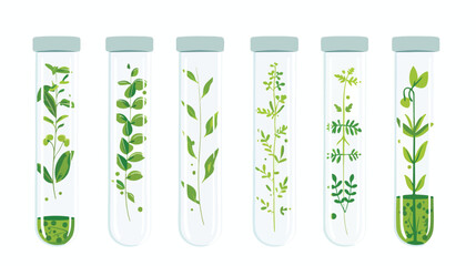 In vitro micropropagation clone plants in test tubes - obrazy, fototapety, plakaty