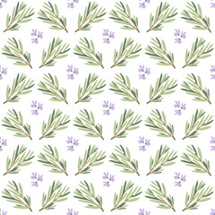 Rosemary seamless pattern. Rosemary plant green leaves repeat background. Botanic endless cover. Vector hand doodle drawn illustration.