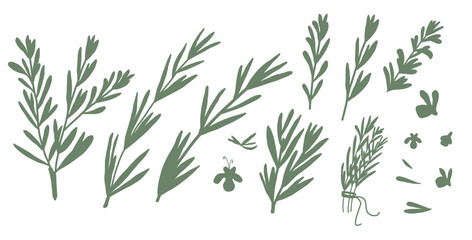 Rosemary silhouette set isolated on white background. Fresh herb branch with green leaves simple. Hand drawn illustration.