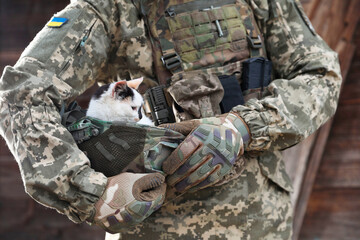 Ukrainian soldier rescuing animal. Little stray cat sitting in helmet outdoors, closeup