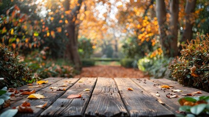 Naklejka na ściany i meble Empty wooden table on the background of autumn garden.