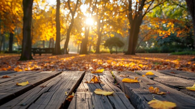 Empty wooden table on the background of autumn garden.