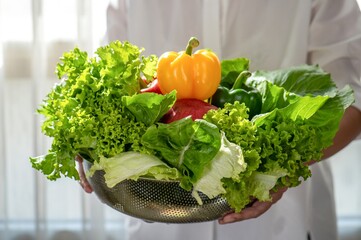Organic fresh vegetables. Young female farmer woman holding carrying with fresh green salad vegetable in kitchen with window sunlight.