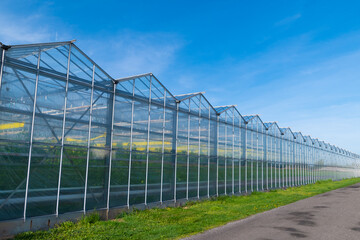 Greenhouse under a blue sky. Cultivation of plant crops.