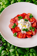 Fresh tomato and basil salad with burrata cheese