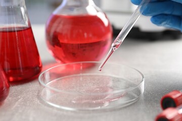 Laboratory analysis. Dripping red liquid into Petri dish on light grey table, closeup
