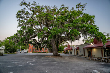 Fototapeta premium fernandina beach, fl