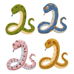 Set of different cartoon snakes on a white background. Funny python characters with different colors.