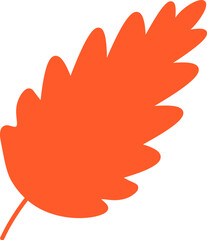 Beautiful tree leaf, herbarium silhouette. Bright autumn colorful foliage flat illustration. Simple cartoon vector hand drawn isolated on white background