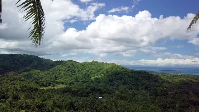 Passing by two coconut trees to reveal a scenic view at Tuntonan Heights, in Clarin, Bohol, Philippines.