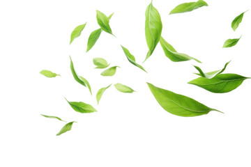 PNG  Green tea leaves flying in the air green backgrounds plant. AI generated Image by rawpixel.