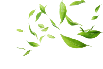 PNG  Green tea leaves flying in the air green backgrounds plant. AI generated Image by rawpixel.