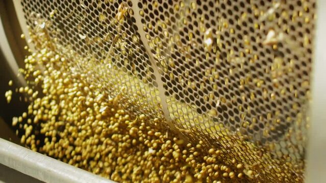 Close up view of selection mechanism for corn grains by size on automated manufacturing production. Rotating parts of kernels sifter device for checking quality and size of raw material.