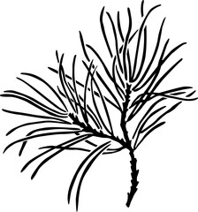 Silhouette of a pine branch with long needles. vector image for plotter cutting or stencil for printing for Christmas