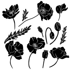 set of silhouettes of poppy flowers, buds and boxes. Vector image for plotter cutting