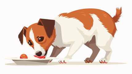 A playful Jack Russell terrier enjoying his meal flat