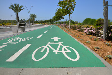 Two way green bicycle lane with white markings on asphalt in city, sunny day, palm trees