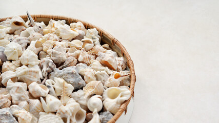 Many different seashells in a bowl, decorative background for advertising travel and vacation, copy space