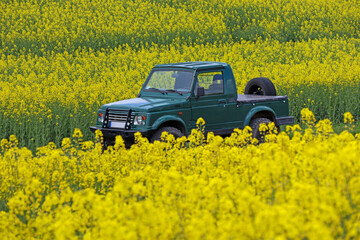 auto, samochód, pick-up, klasyk, terenowy, stary, ciekawy, nietypowy, fajny, intrygujący, zielony, kwiaty, żółte, piękny, łono natury, przyroda,  rzepak, kwitnące, natura - obrazy, fototapety, plakaty