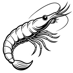       shrimp vector illustration.

