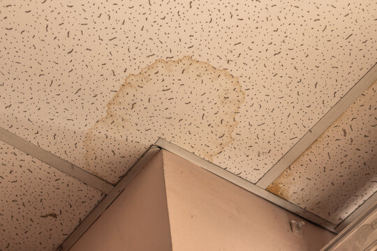 Looking directly up at a dirty stained ceiling tile. Stained were made by water leaking from above.Low angle view