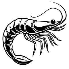       shrimp vector illustration.
