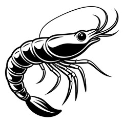 Fototapeta premium shrimp vector illustration. 