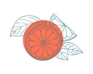 Grapefruit blue stilyzed hand drawing sketch on red circle, white background. Label, emblem, logo, icon.