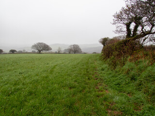 Misty Cornish Landscape