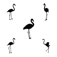 illustration with a set of flamingos silhouettes isolated on white background