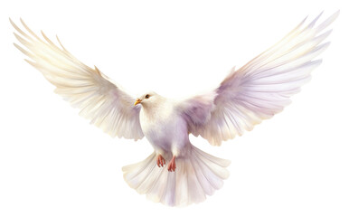 PNG White pigeon flying bird outdoors nature. - obrazy, fototapety, plakaty
