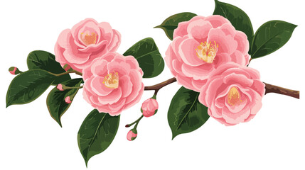 The delicate pink blooms of a sasanqua camellia a win