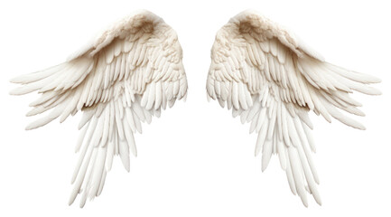 Obraz premium PNG Angel bird archangel softness