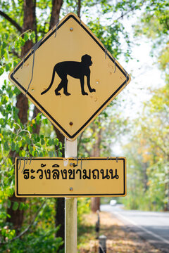 Monkey road sigh thai language: beware of monkeys crossing the road text Thailand