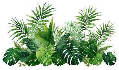 PNG Vegetation outdoors nature plant