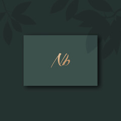 Nb logo design template