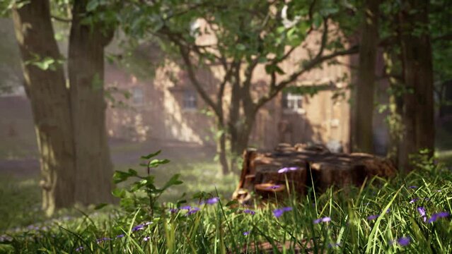 3d animation of forest vegetation, with trees, grass, mushrooms and small flowers, focusing on a cut tree trunk and an old barn in the background. Environment concept.