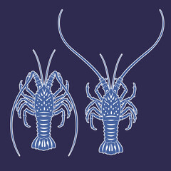 Amazing Japanese style lobster illustration,
