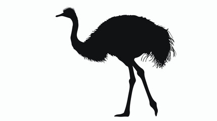 Silhouette of a little ostrich walking and tall Flat - obrazy, fototapety, plakaty