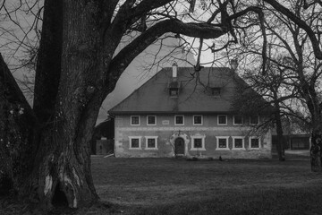 old house in the forest