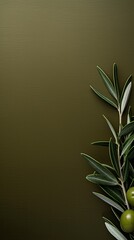 Olive background with dark olive paper on the right side, minimalistic background, copy space concept, top view, flat lay