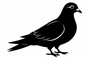pigeon black silhouette vector 