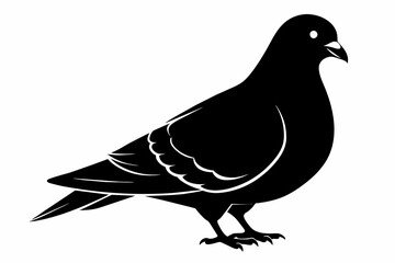 Obraz premium pigeon black silhouette vector 