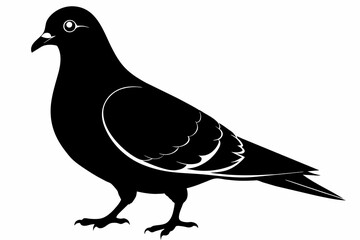 pigeon black silhouette vector 