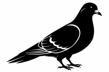 pigeon black silhouette vector 