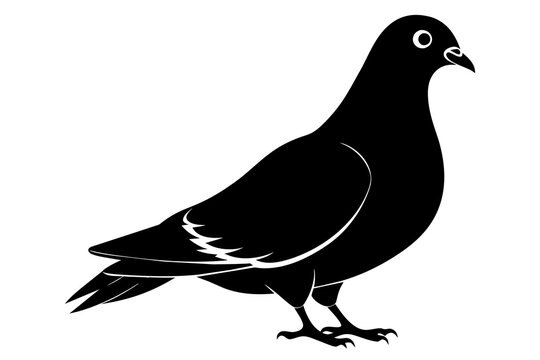 pigeon black silhouette vector 