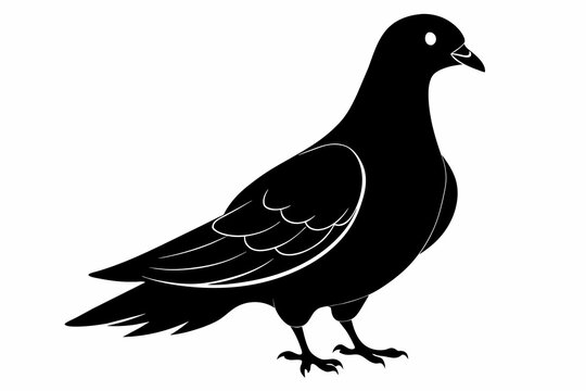 pigeon black silhouette vector